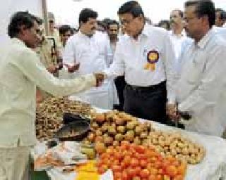 Asha's aspiration for the farmers of Grain Festival | धान्य महोत्सवाने जागविल्या शेतकऱ्यांच्या आशा-आकांक्षा Asha's aspiration for the farmers of Grain Festival | धान्य महोत्सवाने जागविल्या शेतकऱ्यांच्या आशा-आकांक्षा