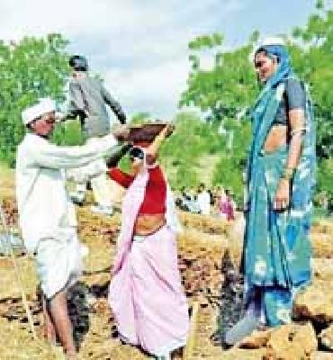 Rohuichi works in Shaggaon | भेजगाव येथे रोहयोची कामे ठप्प