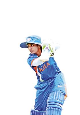 Biryani and Bat | बिर्याणी आणि बल्ला Biryani and Bat | बिर्याणी आणि बल्ला