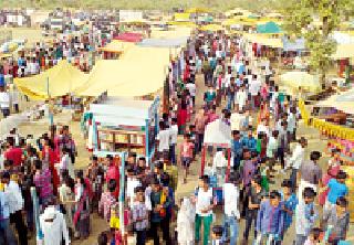 Shankarapatte bundi planted on the yard | शंकरपट बंदीने झाडीपट्टीला लागले मंडईचे वेध