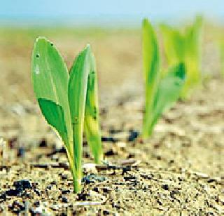 Announcing the drought situation in 1,340 villages | १,३४० गावांमध्ये दुष्काळ परिस्थिती जाहीर Announcing the drought situation in 1,340 villages | १,३४० गावांमध्ये दुष्काळ परिस्थिती जाहीर