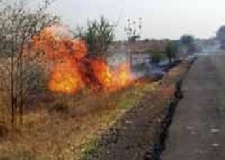 Swaasha in the blaze of trees .. | झाडे आगीत स्वाहा..