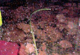 Again | अवकाळी पुन्हा बरसला Again | अवकाळी पुन्हा बरसला