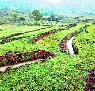 Complete the works done by the monsoon! | जलयुक्तची कामे पावसाळ्यापूर्वीच पूर्ण करा! Complete the works done by the monsoon! | जलयुक्तची कामे पावसाळ्यापूर्वीच पूर्ण करा!