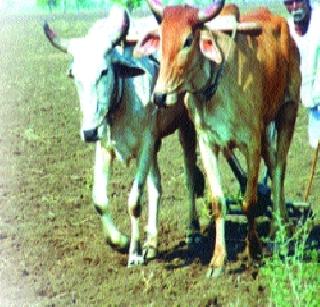 Drought has got a subsidy for agriculture | कोरडवाहू शेती अभियानाचे अनुदान मिळाले