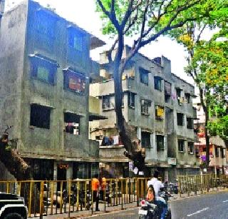 Hell torture in the colony of authority | प्राधिकरणाच्या वसाहतीत नरक यातना Hell torture in the colony of authority | प्राधिकरणाच्या वसाहतीत नरक यातना