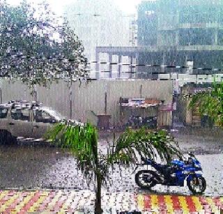 Rainy Hazardry | पावसाची हजेरी