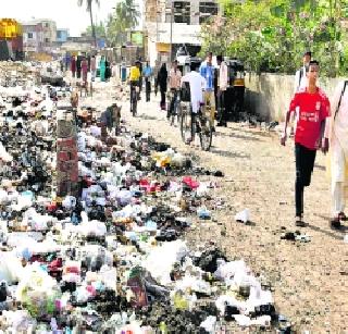 Will save two crore plants in the state - Ramdas Kadam | राज्यात दोन कोटी झाडे जगविणार - रामदास कदम