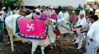 Traditional Gudi Padva celebrates in Sevagram Ashram | सेवाग्राम आश्रमात पारंपरिक गुढीपाडवा साजरा Traditional Gudi Padva celebrates in Sevagram Ashram | सेवाग्राम आश्रमात पारंपरिक गुढीपाडवा साजरा