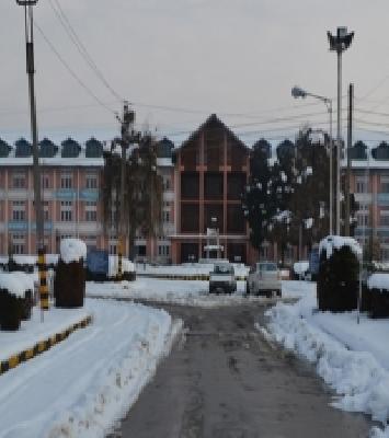 In the possession of the young police who took the tri-color from Delhi | दिल्लीहून तिरंगा नेणारे तरुण पोलिसांच्या ताब्यात