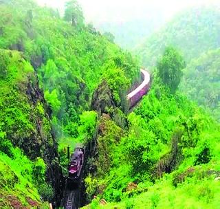 With the permission of the forest department, the path of development will be expedited | वन विभागाच्या परवानगीमुळे विकासाचा मार्ग प्रशस्त With the permission of the forest department, the path of development will be expedited | वन विभागाच्या परवानगीमुळे विकासाचा मार्ग प्रशस्त