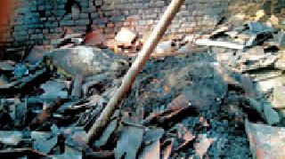 Fireplace; Three animal coal | गोठ्याला आग; तीन जनावरांचा कोळसा Fireplace; Three animal coal | गोठ्याला आग; तीन जनावरांचा कोळसा