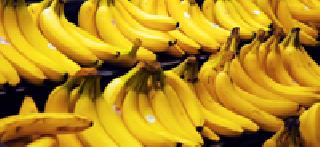 Use of carbide to harvest bananas | केळी पिकविण्यासाठी कार्बाईडचा वापर Use of carbide to harvest bananas | केळी पिकविण्यासाठी कार्बाईडचा वापर