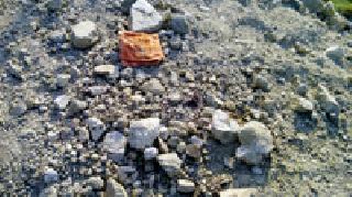 Naxalites bloodshed in the forest | घटनाकारांच्या जयंतीलाच नक्षलवाद्यांचा रक्तपात