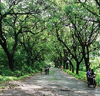 Aare Colony again got 'Development' area | आरे कॉलनी पुन्हा झाली ‘विकास’ क्षेत्र Aare Colony again got 'Development' area | आरे कॉलनी पुन्हा झाली ‘विकास’ क्षेत्र