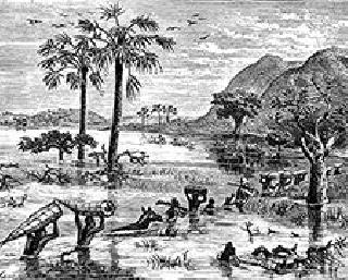 Move forward | पाऊल टाकेन तर पुढेच Move forward | पाऊल टाकेन तर पुढेच