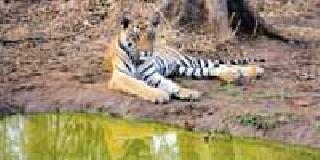 Tourist places in and around Sindhbod | सिंधबोडीत पर्यटकांची मांदियाळी Tourist places in and around Sindhbod | सिंधबोडीत पर्यटकांची मांदियाळी