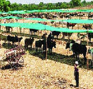 Slight Show 'with water in the eye | टंचाईच्या ‘स्लाइड शो’ने डोळ्यांत पाणी Slight Show 'with water in the eye | टंचाईच्या ‘स्लाइड शो’ने डोळ्यांत पाणी