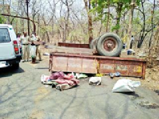 Two killed in tractor trolley; 11 injured | ट्रॅक्टर ट्रॉली उलटून दोघे ठार; ११ जखमी