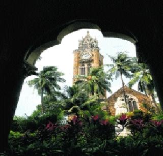 Mumbai University's work will be completed | मुंबई विद्यापीठाची कामे मार्गी लागणार Mumbai University's work will be completed | मुंबई विद्यापीठाची कामे मार्गी लागणार