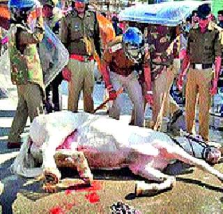 The victim of 'Shaktiman' | ‘शक्तिमान’चा बळी