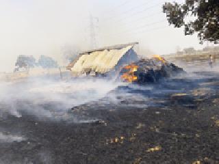 Fire brigade in Tarsa Shivar | तारसा शिवारात अग्नितांडव