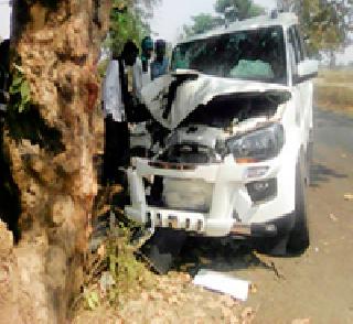 637 people killed in five years | पाच वर्षात ६३७ नागरिकांचा बळी