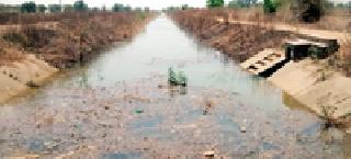 Remedies to villages and animals with water from Itia Doha | इटिया डोहाच्या पाण्याने गावे व पशुपक्ष्यांना दिलासा