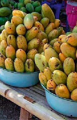 Food and administration department will prove to be an action? | अन्न, प्रशासन विभाग एका कारवाईने काय सिद्ध करणार ? Food and administration department will prove to be an action? | अन्न, प्रशासन विभाग एका कारवाईने काय सिद्ध करणार ?