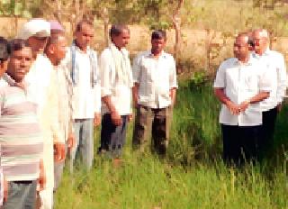 Paddy farmers' crops burnt the peas | शेतकऱ्यांचे धान पीक जळले