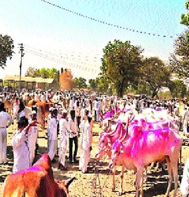 Market road due to scarcity | टंचाईमुळे जनावरांना बाजाराचा रस्ता