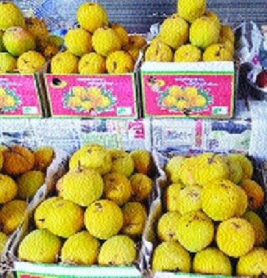 Thanekar's excitement came in delicious, juicy hapus! | मधुर, रसाळ हापूस आला ठाणेकरांच्या आवाक्यात!