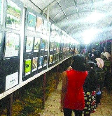 Photo Exhibition Bay Safari | छायाचित्र प्रदर्शनातून खाडी सफारी