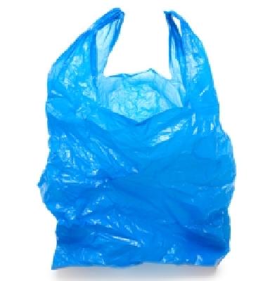Re-ban on plastic bags | प्लास्टिक पिशव्यांवर पुन्हा बंदी