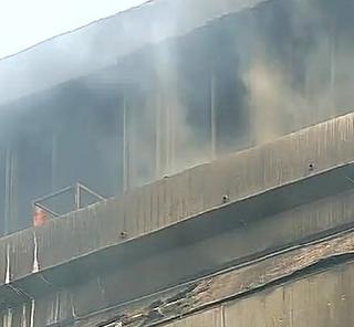 Six firearms of firefighters injured in the National History Museum | नॅचरल हिस्ट्रीचे संग्रहालय आगीत खाक, फायरब्रिगेडचे सहा जवान जखमी Six firearms of firefighters injured in the National History Museum | नॅचरल हिस्ट्रीचे संग्रहालय आगीत खाक, फायरब्रिगेडचे सहा जवान जखमी