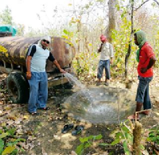673 new water resources for wildlife | वन्यजीवांसाठी ६७३ नवीन जलस्रोत