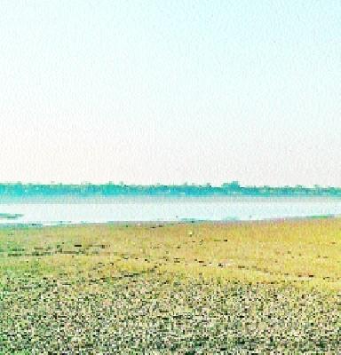 Shuffle mansion lakes dry | शेटफळ हवेलीचा तलाव कोरडा ठणठणीत