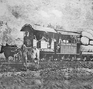 'Uncle Mhoba'! | ‘चाक्या म्हसोबा’! 'Uncle Mhoba'! | ‘चाक्या म्हसोबा’!