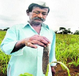 30 lakh farming families 'life-saving' shield | ३० लाख शेतकरी कुटुंबांना ‘जीवनदायी’ कवच 30 lakh farming families 'life-saving' shield | ३० लाख शेतकरी कुटुंबांना ‘जीवनदायी’ कवच