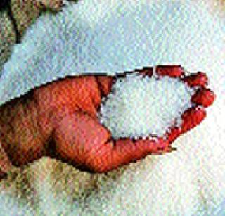 Sugar rate collapsed | साखरेचे दर गडगडले