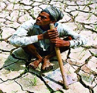 Crop Insurance on the basis of Baliaraja | बळीराजाच्या आधाराला पीक विमा