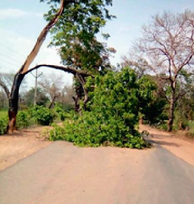 The Untouchables in the district at that time | जिल्ह्यात अवकाळी अन विजेचा थयथयाट