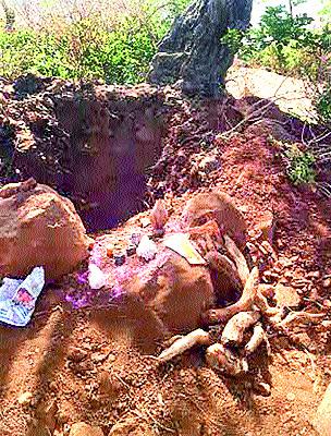 Four youths are caught in a beard | चार तरुणांसह भोंदूबाबाला अटक