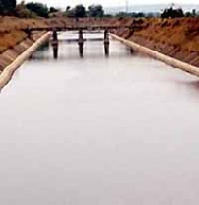 Need of Storing Bonds in Lakhandur Taluka | लाखांदूर तालुक्याला साठवण बंधाऱ्यांची गरज