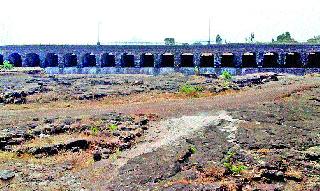 Livestock was saved | पशुधन वाचविणे झाले मुश्कील