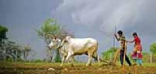 Seven bounty of agricultural credit up to one lakh rupees free | कृषी कर्जाचा सातबारा एक लाखापर्यंत मुक्त