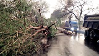 The district will wait for the rain due to the rainy season | वादळी पावसामुळे जिल्हावासी वैतागले