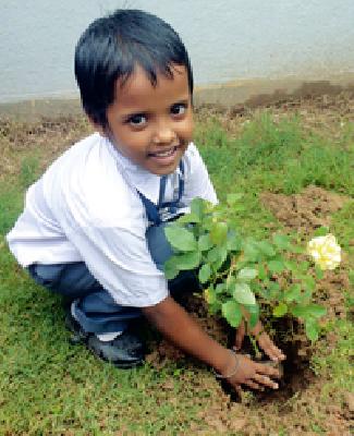 9 1 thousand sparrows will collect seeds | ९१ हजार चिमुकले करणार बीज संकलन