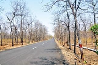 It's raining | आस पावसाची It's raining | आस पावसाची