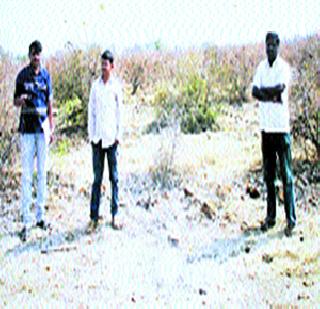 Pomegranate garden firewood! | डाळिंबाच्या बागेचे सरपण! Pomegranate garden firewood! | डाळिंबाच्या बागेचे सरपण!